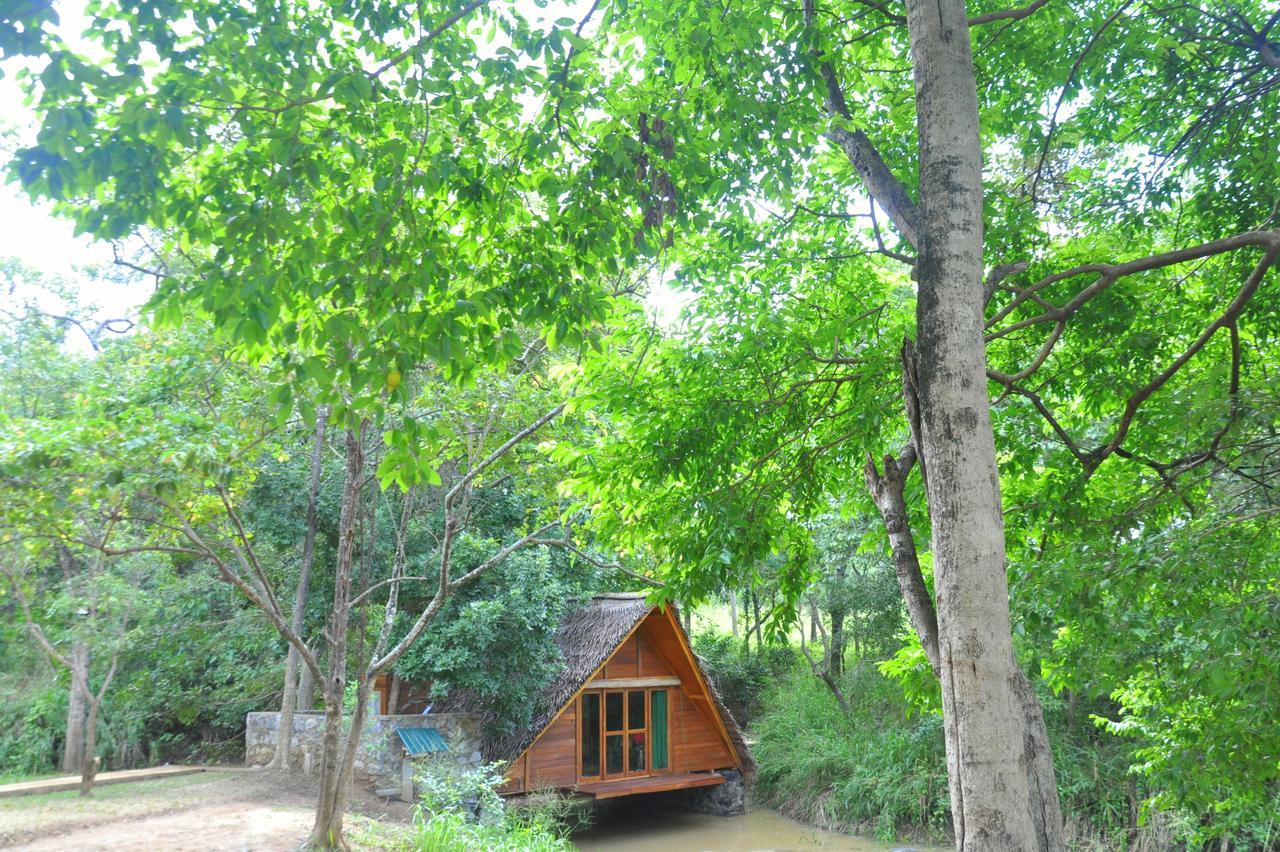 Raintree Villa ดัมบูลลา ภายนอก รูปภาพ