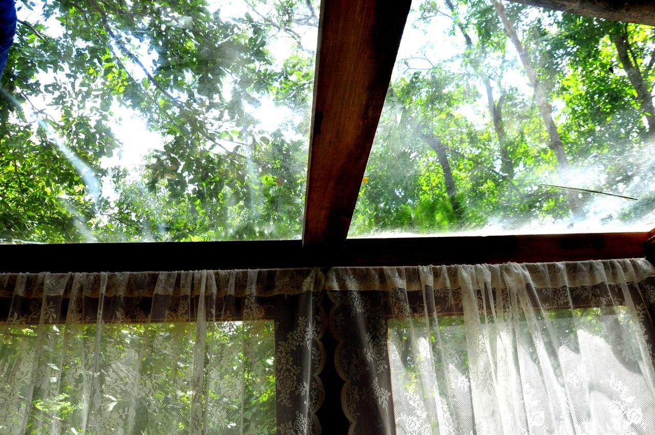 Raintree Villa ดัมบูลลา ภายนอก รูปภาพ