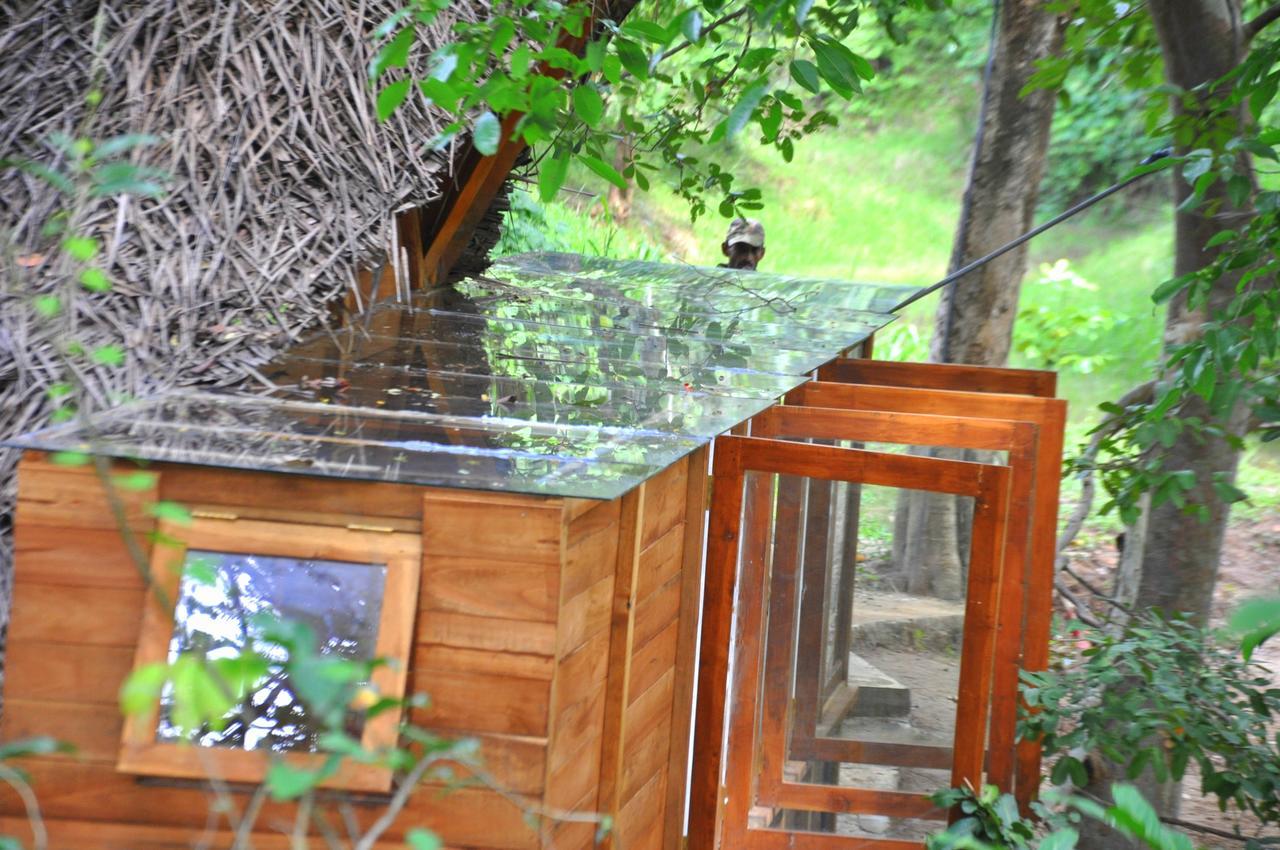 Raintree Villa ดัมบูลลา ภายนอก รูปภาพ