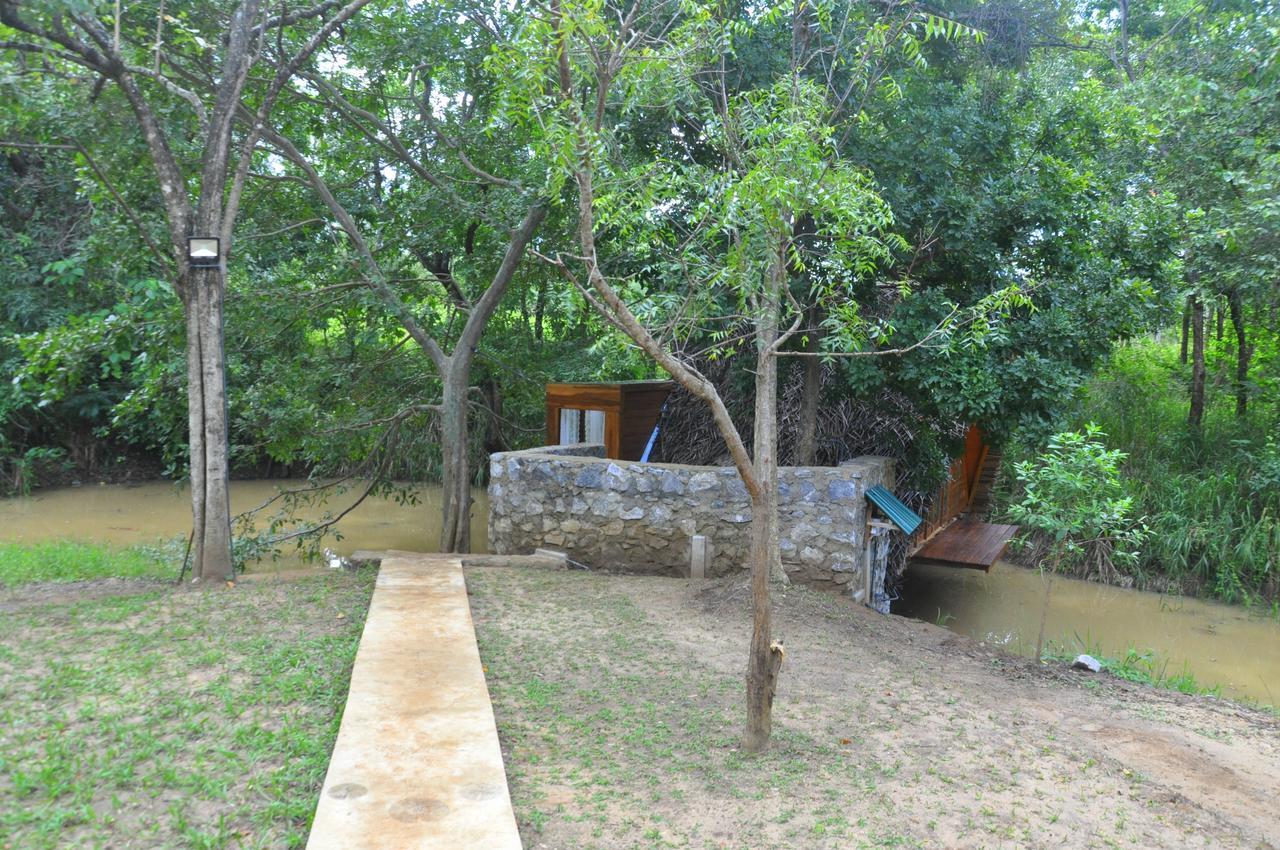 Raintree Villa ดัมบูลลา ภายนอก รูปภาพ