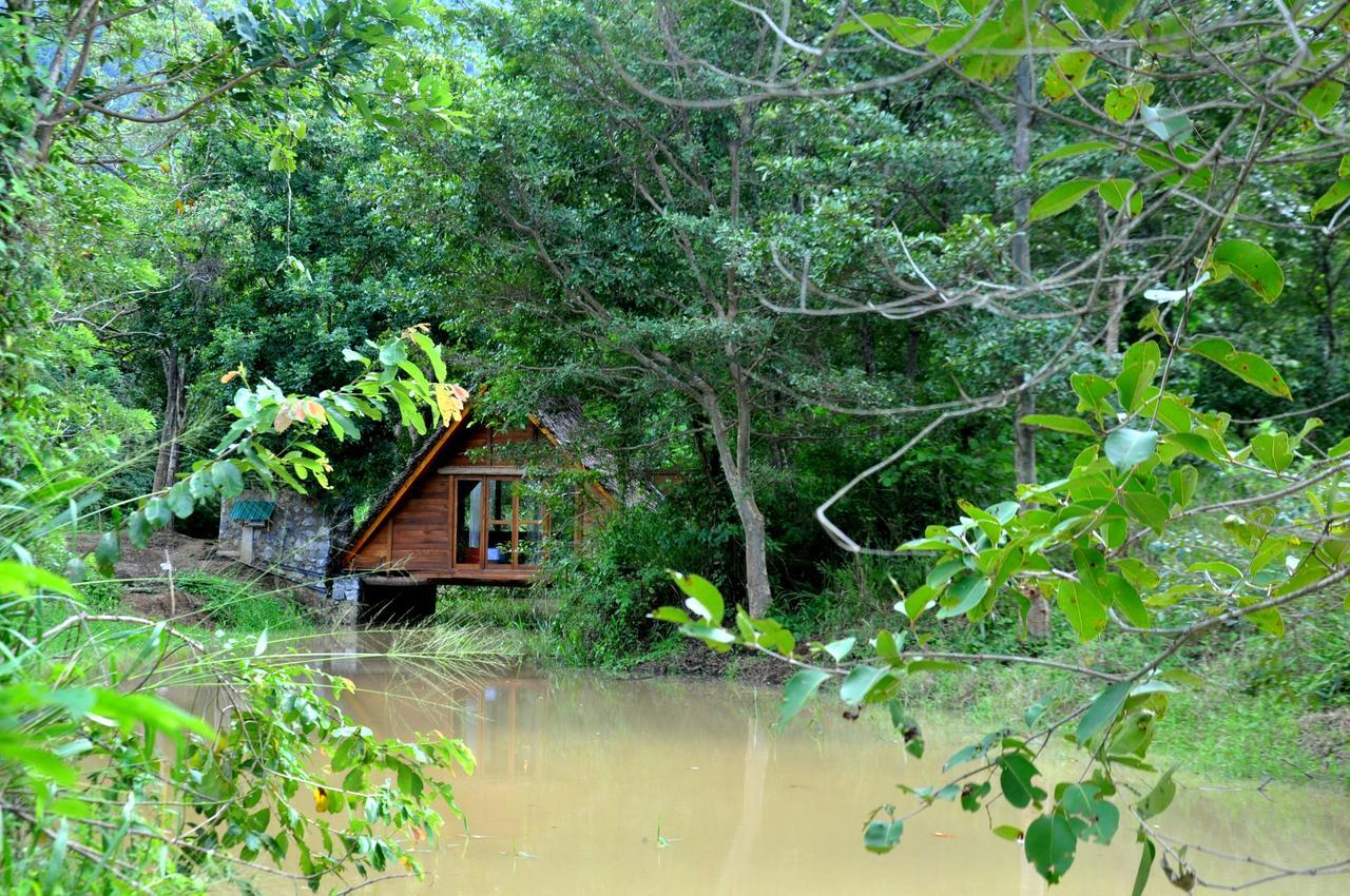 Raintree Villa ดัมบูลลา ภายนอก รูปภาพ