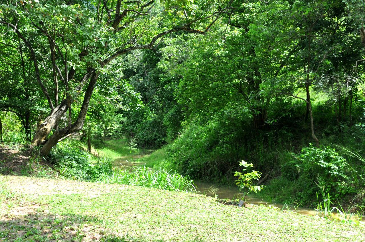 Raintree Villa ดัมบูลลา ภายนอก รูปภาพ