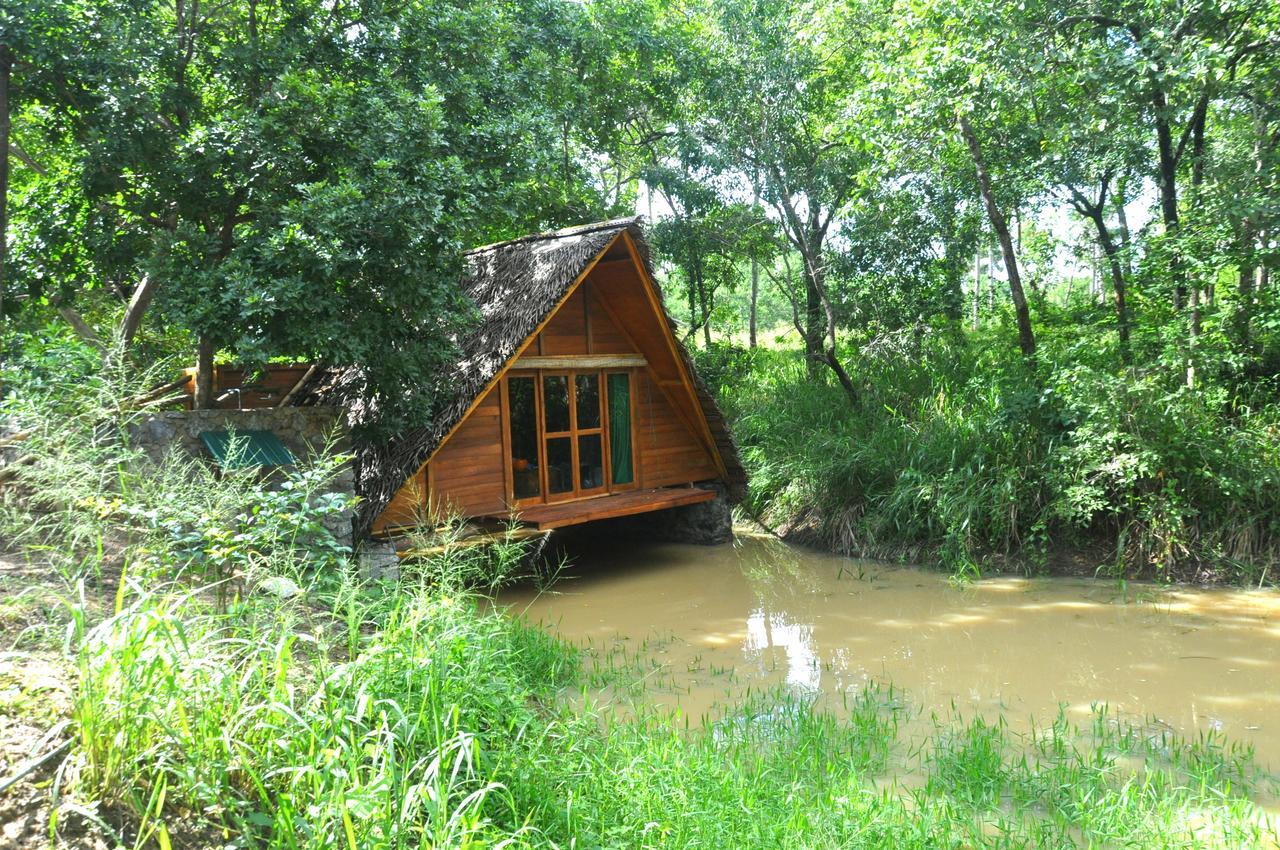 Raintree Villa ดัมบูลลา ภายนอก รูปภาพ