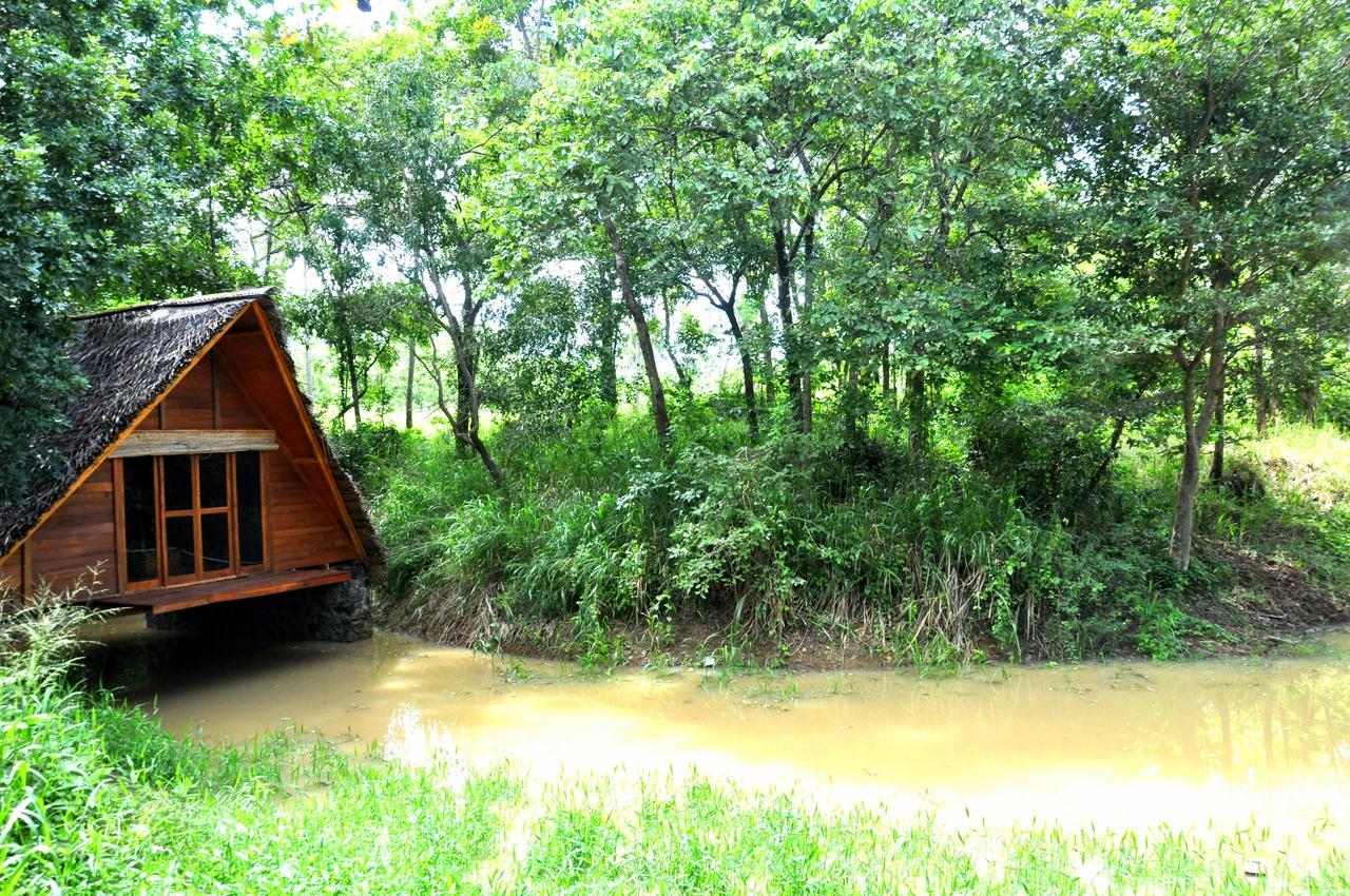 Raintree Villa ดัมบูลลา ภายนอก รูปภาพ