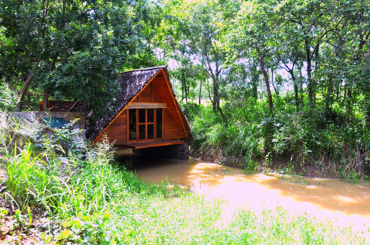 Raintree Villa ดัมบูลลา ภายนอก รูปภาพ
