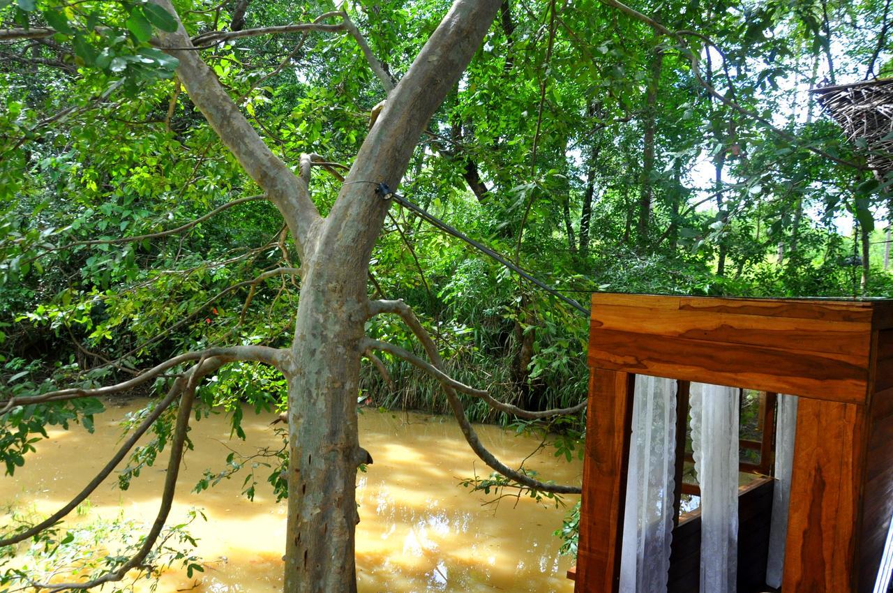 Raintree Villa ดัมบูลลา ภายนอก รูปภาพ
