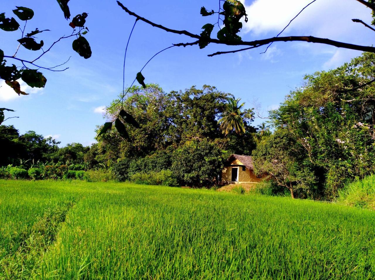 Raintree Villa ดัมบูลลา ภายนอก รูปภาพ