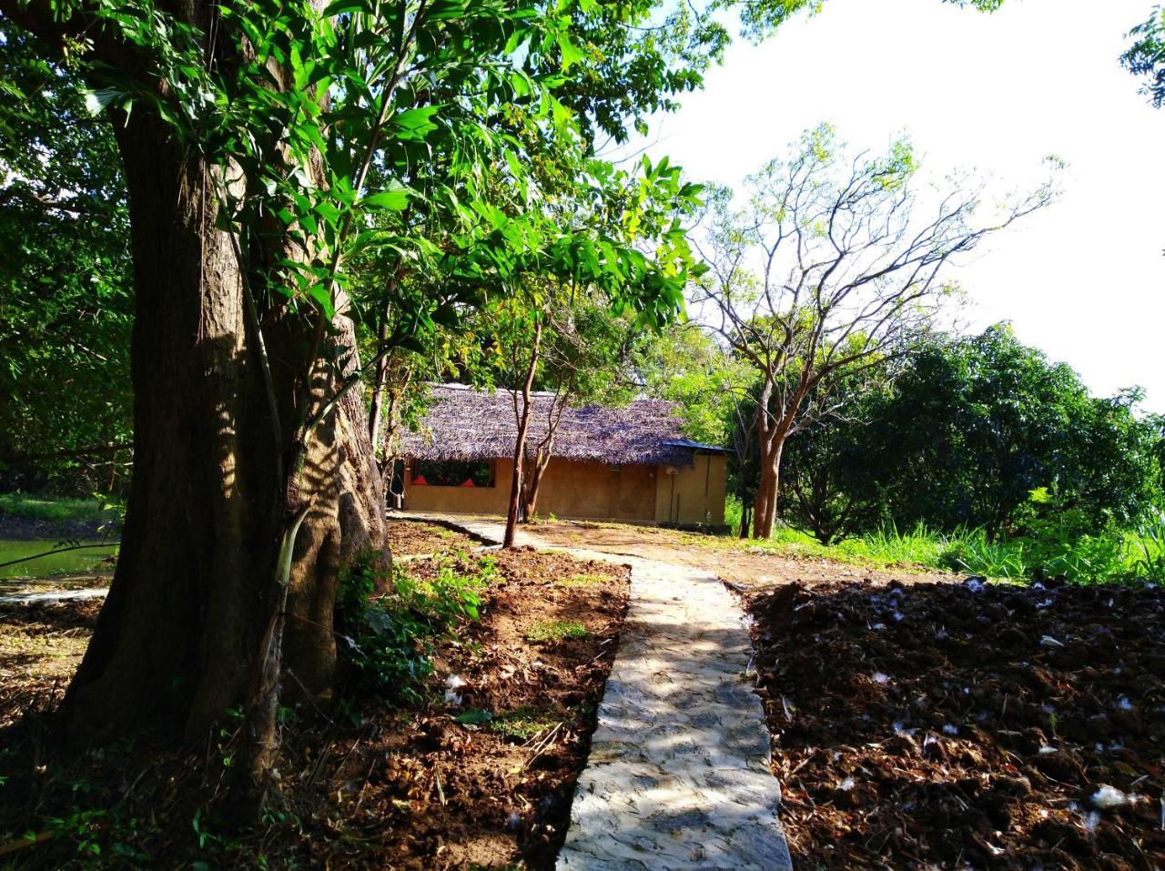 Raintree Villa ดัมบูลลา ภายนอก รูปภาพ