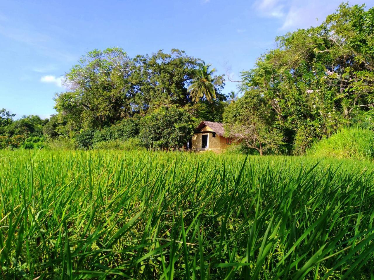 Raintree Villa ดัมบูลลา ภายนอก รูปภาพ