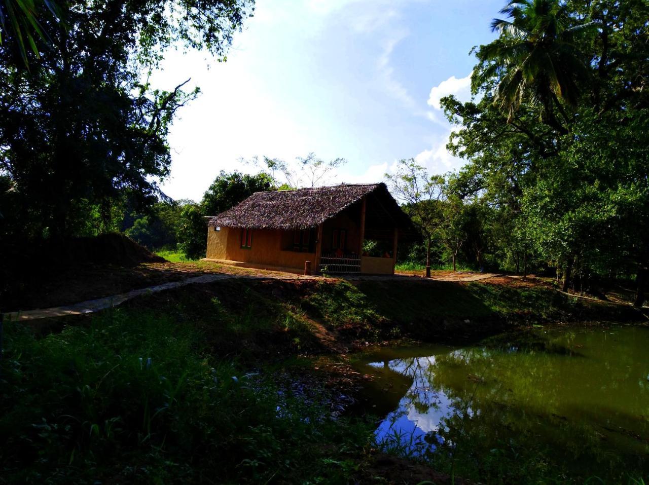 Raintree Villa ดัมบูลลา ภายนอก รูปภาพ