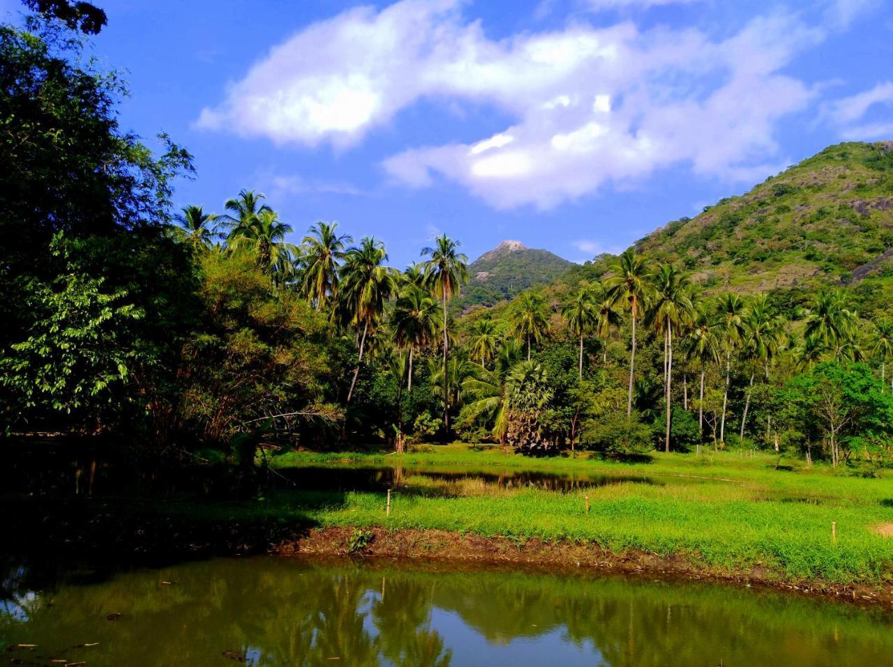 Raintree Villa ดัมบูลลา ภายนอก รูปภาพ