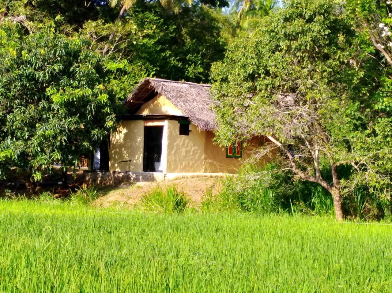 Raintree Villa ดัมบูลลา ภายนอก รูปภาพ